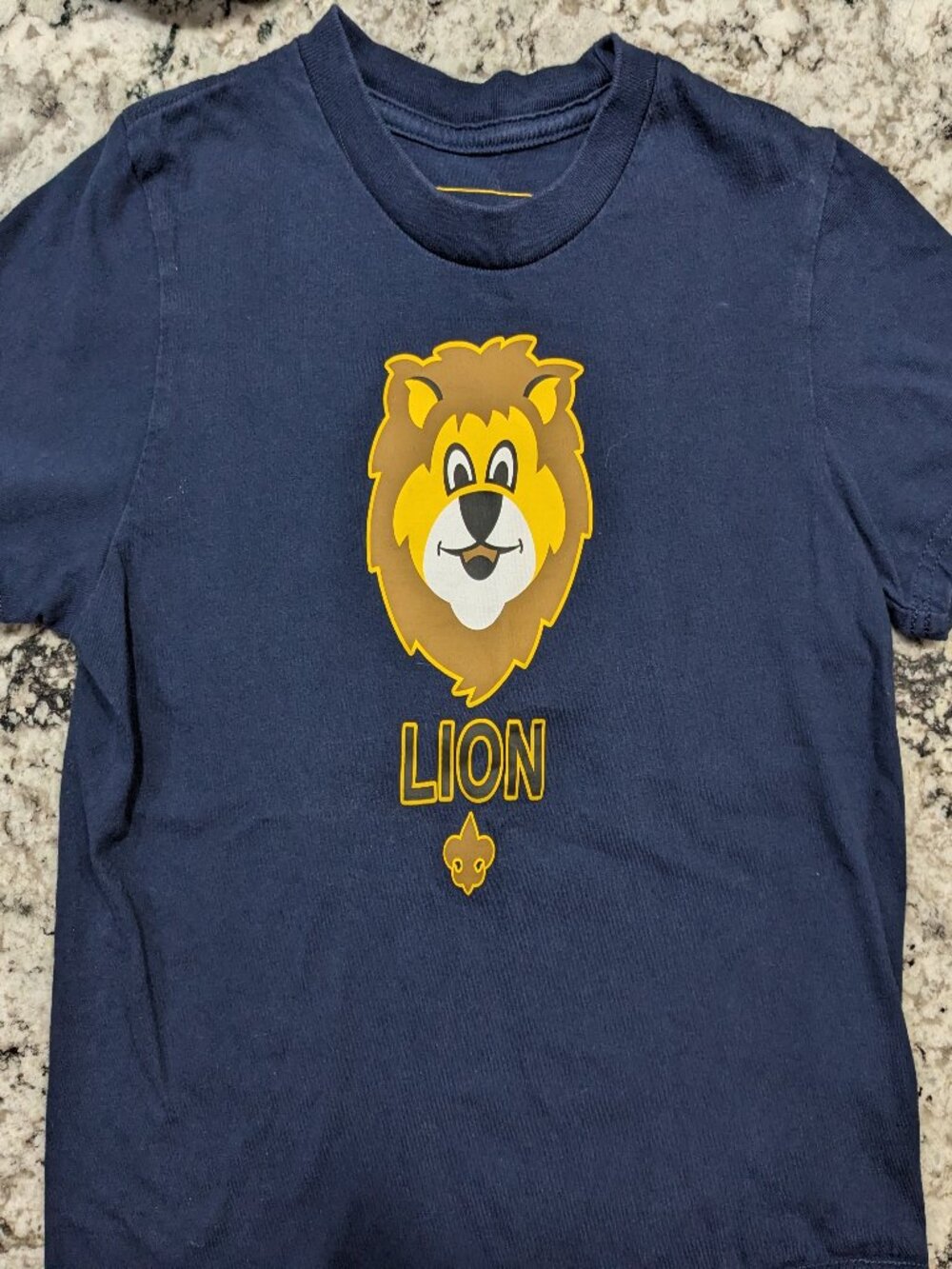 Scouting America Lion Bundle - Picture 5 of 7